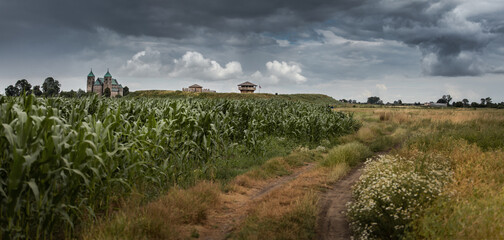 field of wheat