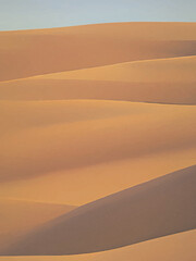 sand dunes in the desert