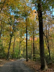 Fall in Connecticut