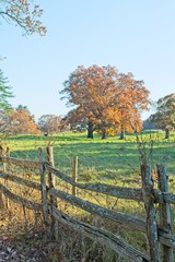 Appleton Farm in late autumn colors