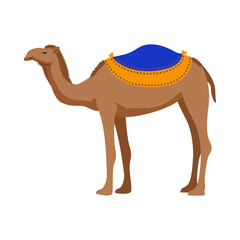 Camel Israel Travel Composition