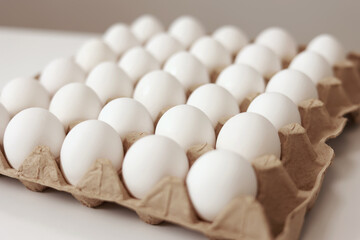 Close Up of raw chicken eggs in paper egg tray on white background. Group of Fresh white Eggs in a cardboard cassette. Organic food from nature good for health.