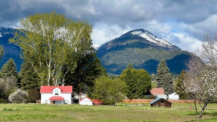 HAMILTON, MT, MAY 2022: white house with red roof and nearby hut, grassland, trees, and heavy clouds over mountains in background - obrazy, fototapety, plakaty