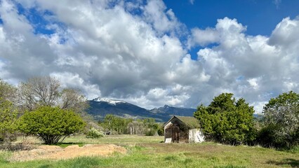 View across grassland with a hut at one side, trees and scrub vegetation, clouds over nearby mountains in background, in Hamilton, Montana