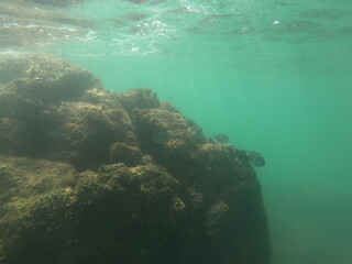 Fototapeta na wymiar submerged sea water