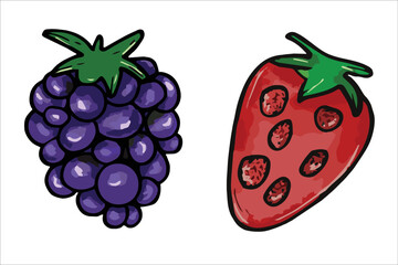 Vector berry set. Strawberry and blackberry illustration