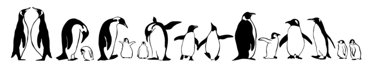 Set of penguins. Vector illustration
