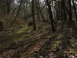 Once used to power an estate saw mill, the dried out and overgrown remains of a mill pond,...