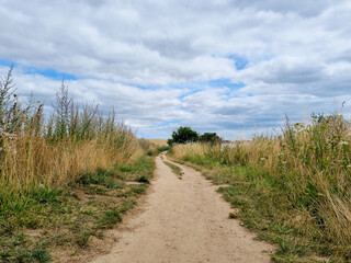 Feldweg am Meer