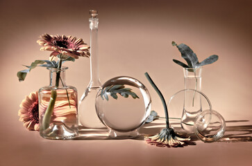 Biophilia design background. White gerbera and exotic leaves. Flowers, transparent glass jars, small bottles. Distorted floral elements with reflections. Beige background. Natural sunlight, long