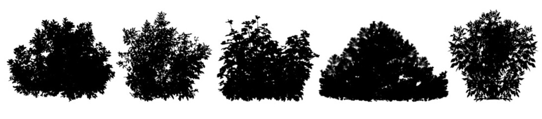 Bush, set of silhouettes. Vector illustration