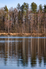 Obraz premium lake in the forest