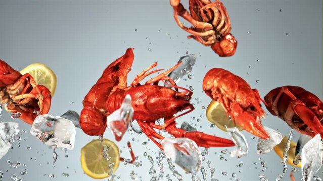 Crayfish with pieces of lemon and ice fly up and fall down. On a blue background. Filmed is slow motion 1000 fps.