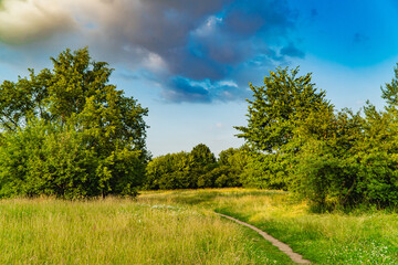 landscape with trees