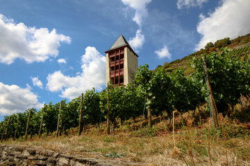 Views from the town of Bacharach, Germany