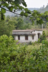 White house in the forest