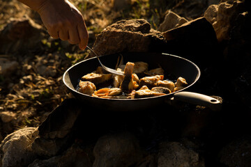 Frying fish in oil in a pan in the camp