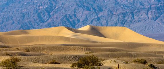 Mesquite Sand Dunes In Death Valley National Park under evening sun light.