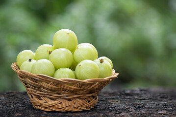Indian Gooseberry or phyllanthus emblica fruits on nature background.