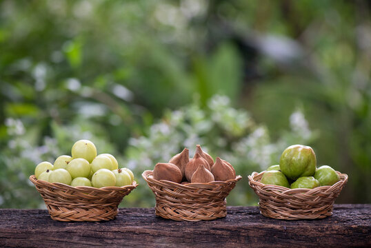 Indian Gooseberry ,terminalia chebula and terminalia bellirica on nature background.