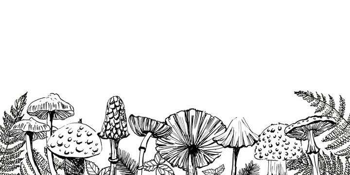 Banner con set di funghi neri nel bosco, illustrazione isolata su sfondo bianco