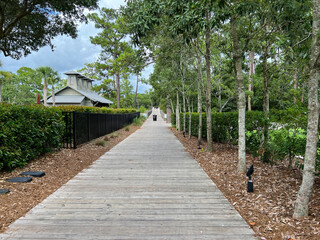 The wooden walking and bike trail in Watercolor, Florida.