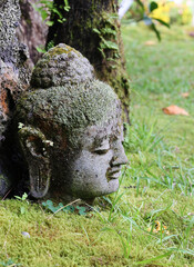 Buddha head