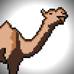 Camel with pixel art. Vector illustration.