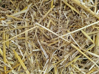 texture of hay