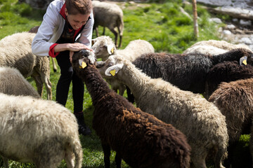 Smiling Mid Adult Brunette Woman Farmer Taking Care of Her Flock of Sheep