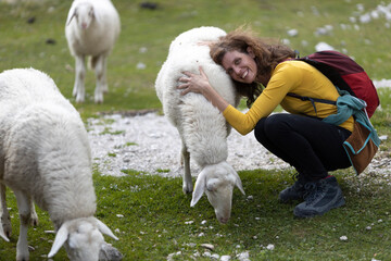 Happy Female Hiker Stroking and Hugging a Soft White Sheep in Julian Alps Slovenia