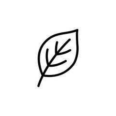 Leaf line icon vector design