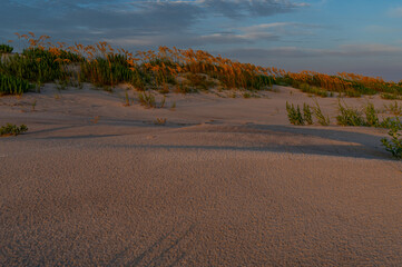 Barrier Island Sand Dunes