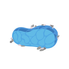 Pond Design Very Cool