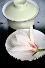 still life:magnolia blossom and tea set 