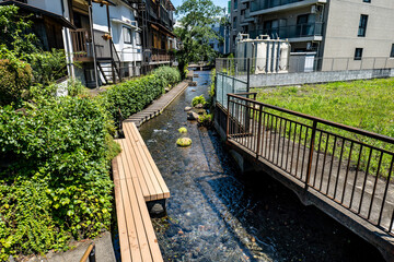 静岡県三島市に流れる源兵衛川のきれいな流れと遊歩道