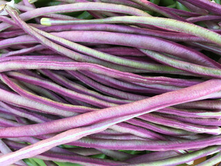 purple long beans