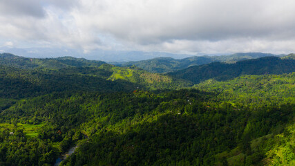 Fototapeta premium Mountain slopes covered with rainforest and jungle Sri Lanka.