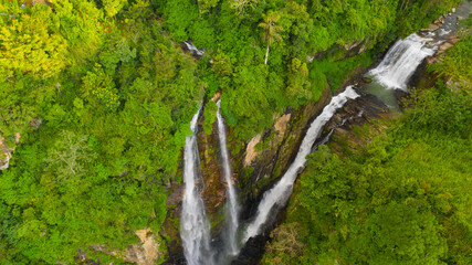 Beautiful waterfall in green forest. Puna Ella Falls in mountain jungle, Sri Lanka.