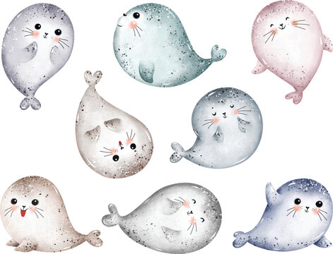 Watercolor Illustration set of Cute Baby Seal character