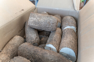 Pile of Yam Tubers ready for cooking