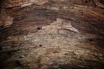 old wood texture