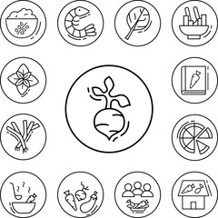 Radish, vegan icon in a collection with other items