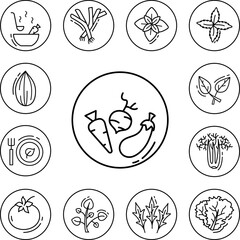 Vegetable, vegan icon in a collection with other items