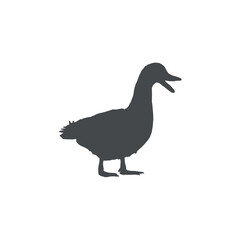 duck silhouette. vector simple illustration