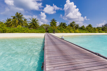 Fototapeta na wymiar Tranquility travel background, wooden pier pathway in paradise summer beach. Tropical island landscape, calm sea water, white sand, palm trees blue sunny sky. Idyllic vacation scenic, exotic nature