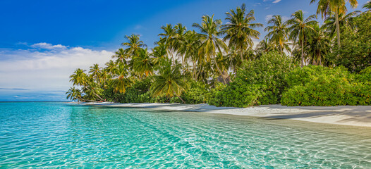 Summer travel background. Exotic tropical beach island, paradise coast. Palm trees white sand,...