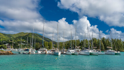 Fototapeta na wymiar A row of white yachts with masts stand along the pier in the aquamarine ocean. Green mountains against a blue sky with clouds. Seychelles