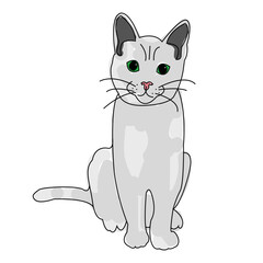 Cute gray cat portrait. Hand drawn sketch kitten.