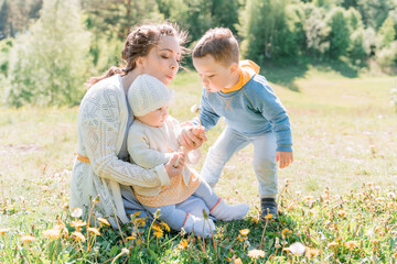Fototapeta premium A young mother sits on the grass with her three-year-old son and one-year-old daughter, they blow on dandelions